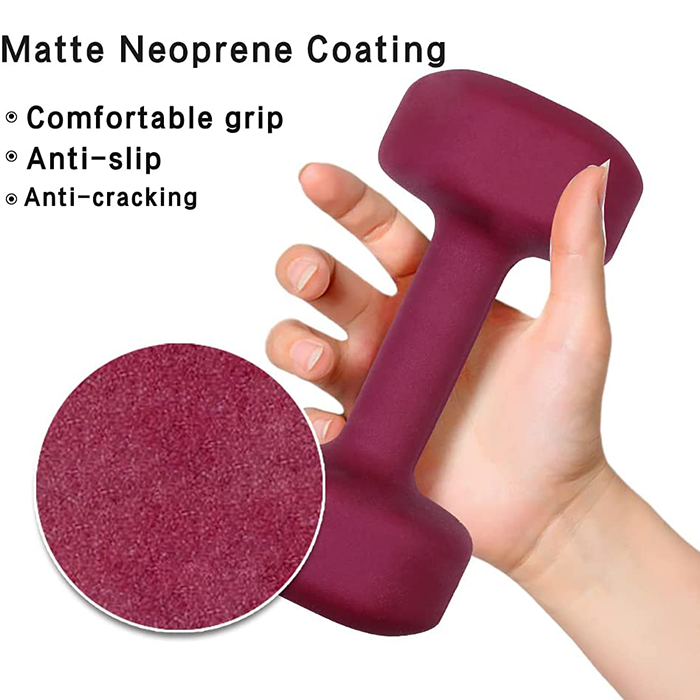 PROIRON Neoprene Coated 8kg Dumbbells